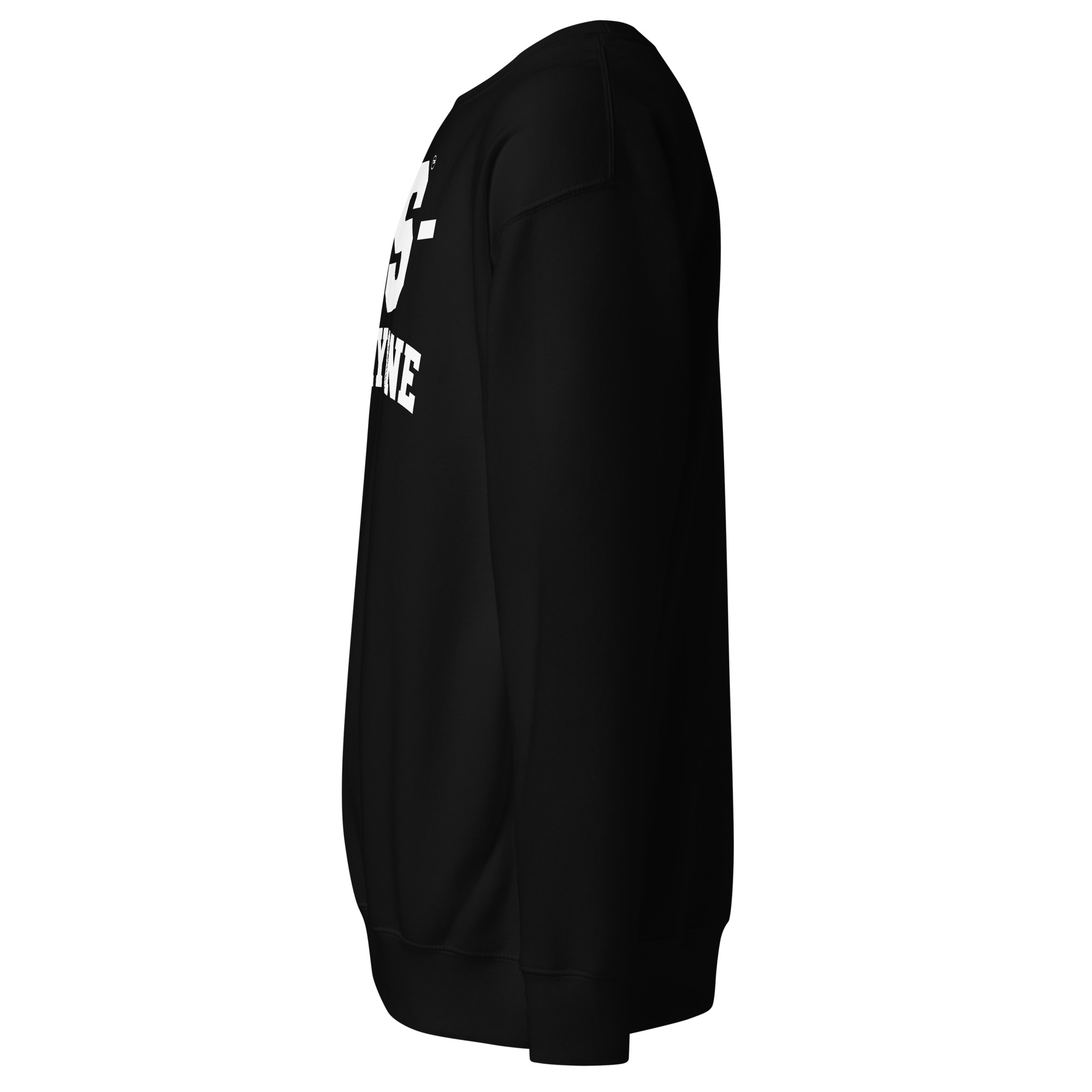 Vs Everyone - Unisex Premium Sweatshirt - Image 3